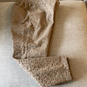 Isaac Mizrahi Live Petite Pants